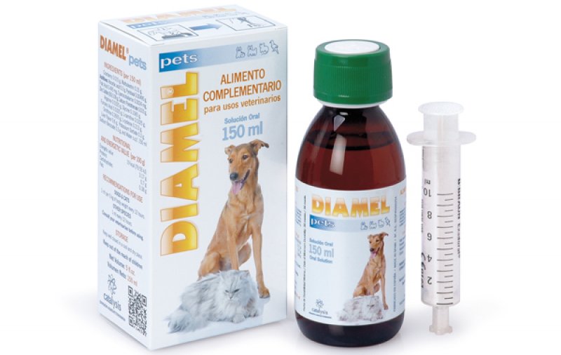 DIAMEL für Hunde und Katzen 150 ml