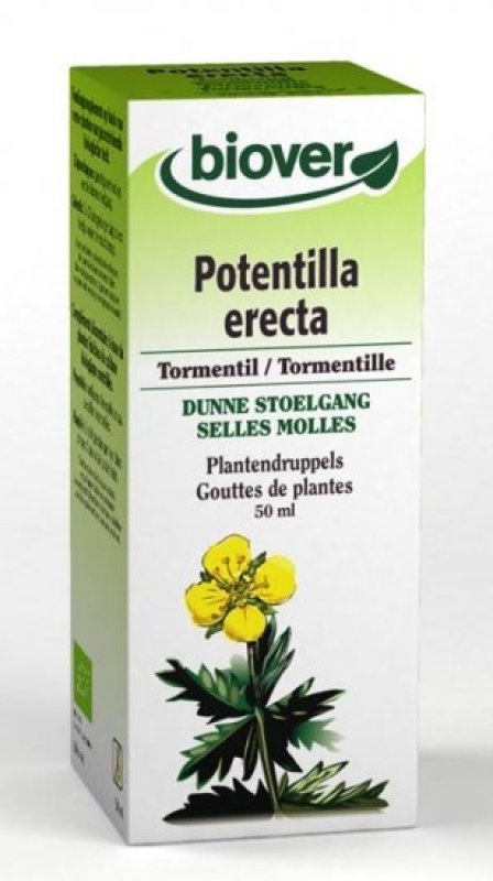 Tormentilla (Blutwurz) 50 ml