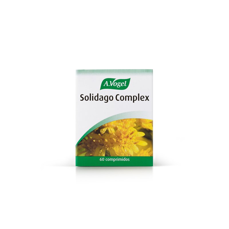 Solidago-Komplex 60 Kapseln - ehemals Nephrosolide -
