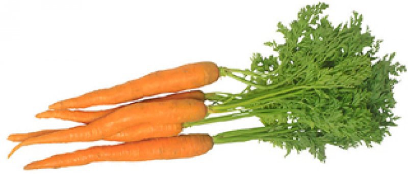 Organic carrot 1 KG Region Gran Canaria