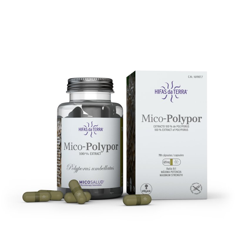 Mico Polypor Polyporus-Extrakt