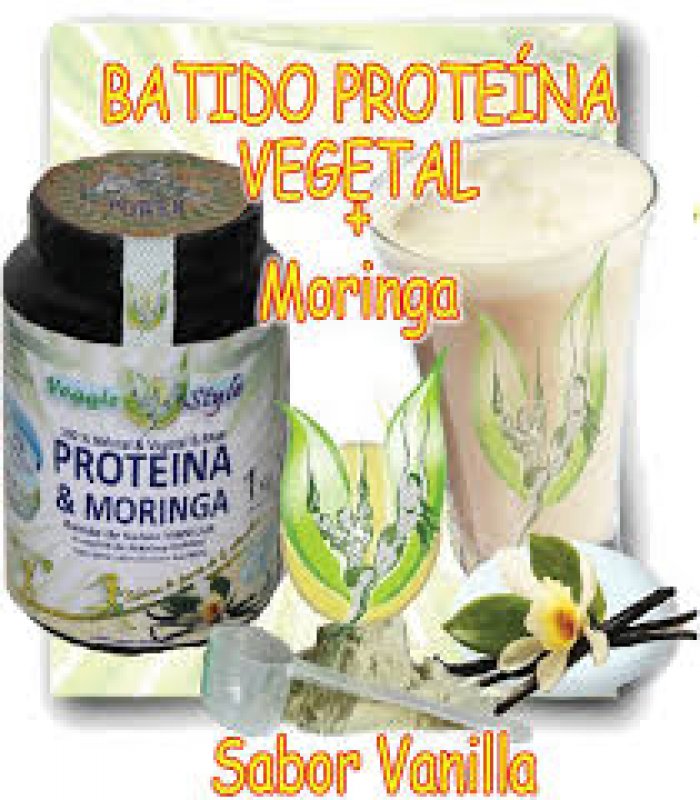 Bio Veggie Style Protein mit Moringa 84 % mit Vanillegeschmack 1 KG